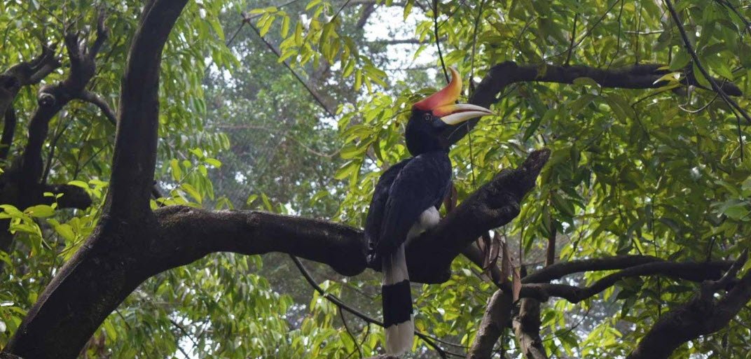 Tropical Zoo, France